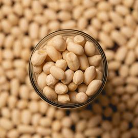 Cover image for BLANCHED PEANUT