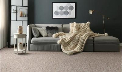 Cover image for Dreamweaver Broadloom Carpet