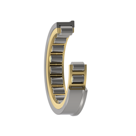 Cover image for Cylindrical Roller Bearing:  TS2NU2236