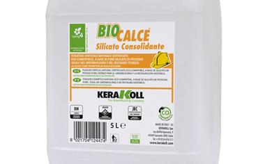 Cover image for Biocalce Silicato Consolidante