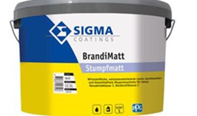 Cover image for Sigma BrandiMatt Stumpfmatt