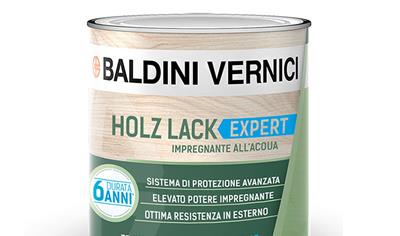 Cover image for Holz Lack Expert