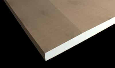 Cover image for Gyproc GRI Robust/GRIE 13 - Wetroom board