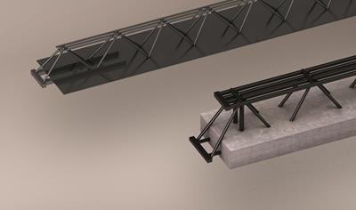 Cover image for Trave NPS® Basic e Cls