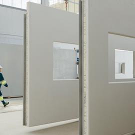 Cover image for Panels and walls