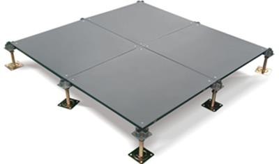 Cover image for Riseflor/Tecfloor Bare Finish Steel Raised Access Floor