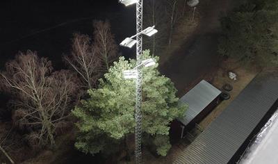 Cover image for Light Mast