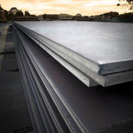 Cover image for XLERPLATE® steel