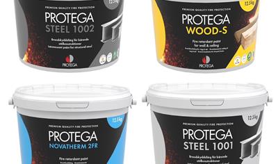 Cover image for Intumescent paints for fire protection of wood and steel