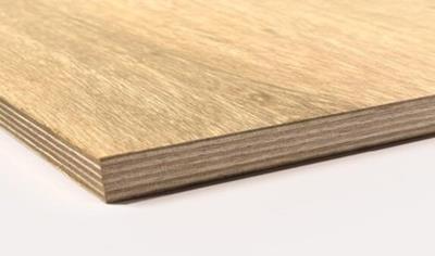 Cover image for OZIGREEN Plywood Panels