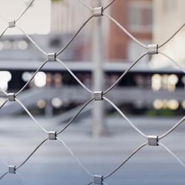 Cover image for Webnet