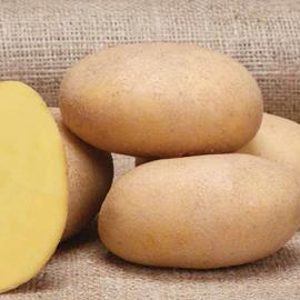 Cover image for Seed Potato (G2 Class)