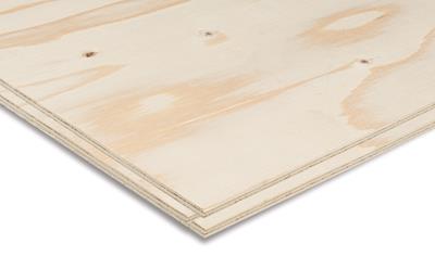 Cover image for Silver Fir Plywood