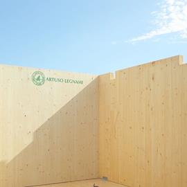 Cover image for X-LAM Cross Laminated Timbers