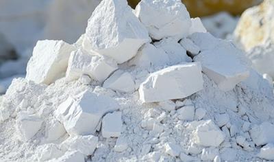 Cover image for CALCE MAGNESIACA (MAGNESIUM LIME)