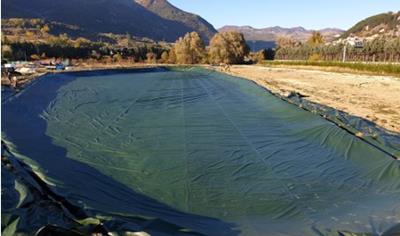 Cover image for Cover Up 240