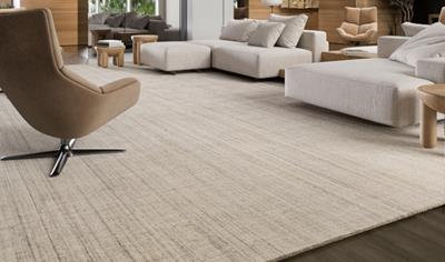 Cover image for Captivate Wool Rugs