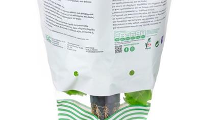 Cover image for Lettuce