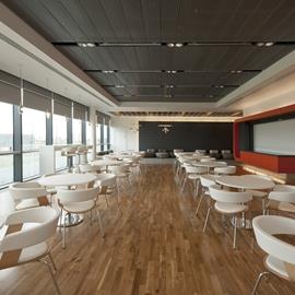 Cover image for SAS System 205 Metal Ceiling