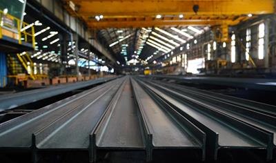 Cover image for Steel Profiles