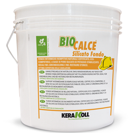 Cover image for Biocalce Silicato Fondo