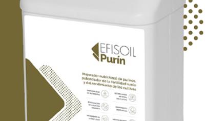 Cover image for EFISOIL  PURÍN