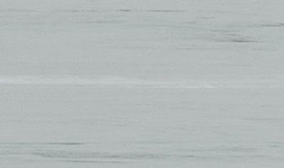 Cover image for Garis - HOMOGENEOUS PVC FLOOR COVERING 