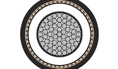 Cover image for Medium Voltage Single Core Power Cable NA2XS(F)2YV 12/24 kV