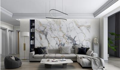 Cover image for Silica Mineral Panel