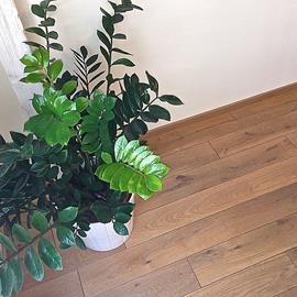 Cover image for Morava Wood solid oak floor