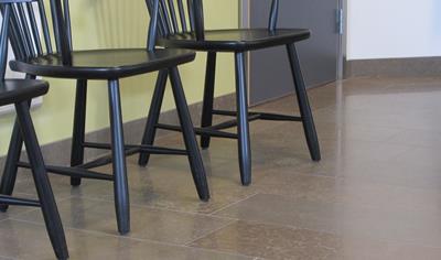 Cover image for Limestone floor tile