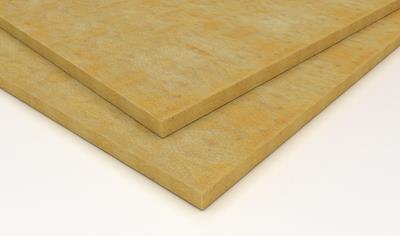 Cover image for Panel PF 80