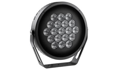 Cover image for Anolis Calumma™ XL MC