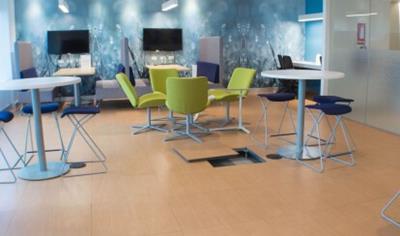 Cover image for FDEB4 Access Floor Panel