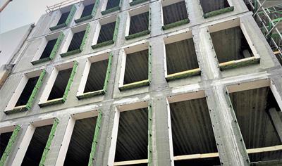 Cover image for BS FALSEN Z