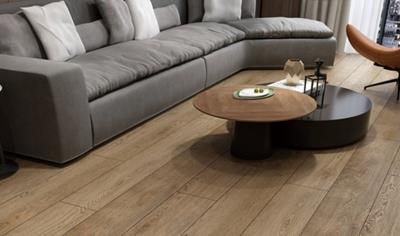 Cover image for  LVT(Luxury Vinyl Tile)