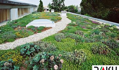 Cover image for Sistemi Standard Daku Italia