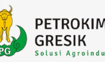 Cover image for Urea Fertilizers