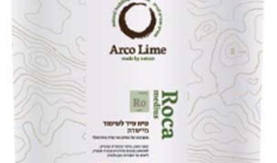 Cover image for Roca