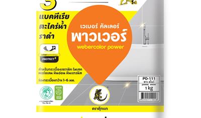 Cover image for Webercolor Power