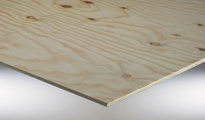 Cover image for Maritime Pine Plywood