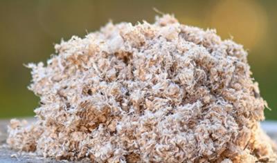 Cover image for Natura 100 – Soft wool by Topcell Sweden AB