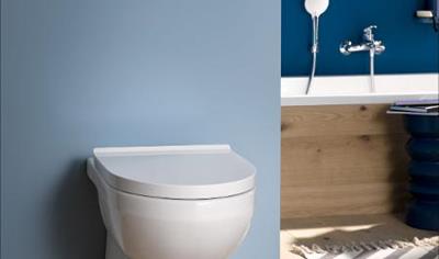 Cover image for Vitreous China Ceramic Sanitaryware