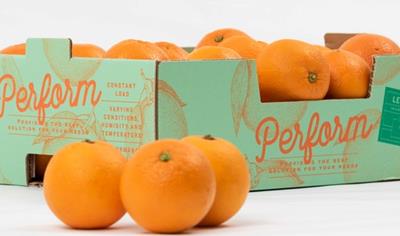 Cover image for Pure Performance 160