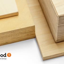 Cover image for Raw birch plywood
