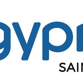 Cover image for 12.5 mm and 15 mm Gypboard® Plain