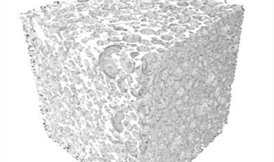 Cover image for CEMFOAM® Standard