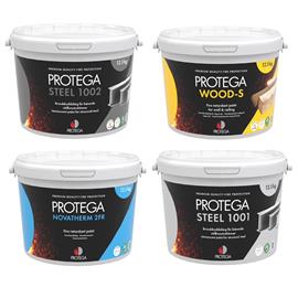 Cover image for Intumescent paints for fire protection of wood and steel