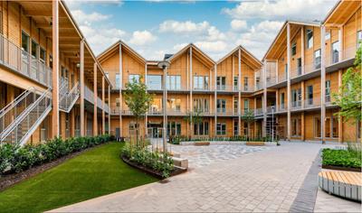 Cover image for Woodsafe Exterior WFX