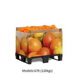 Cover image for GREEN BOX G50 / G70 / G100